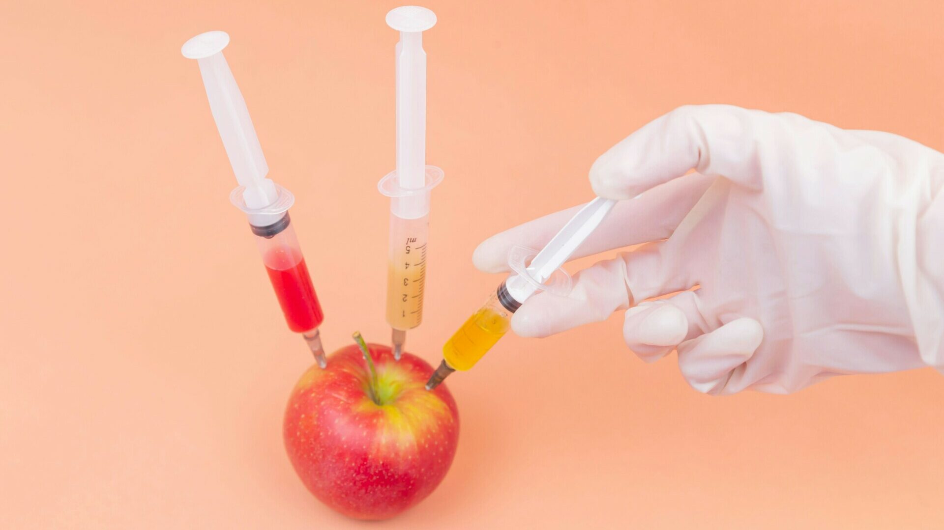 Diana Polekhina Meenpiwpzta Unsplash Edited